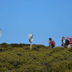 Sul Informação - Festival de Observação de Aves está ao rubro em Sagres