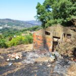 Sul Informação - Animais também são vítimas do incêndio, mas há equipas no terreno a resgatá-los
