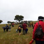 Sul Informação - Beja recebeu o Terras sem Sombra, festival nas transumâncias do mundo