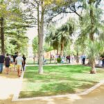 Sul Informação - Já é possível «criar mais memórias» no Jardim da Alameda de Faro