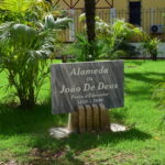 Sul Informação - Já é possível «criar mais memórias» no Jardim da Alameda de Faro