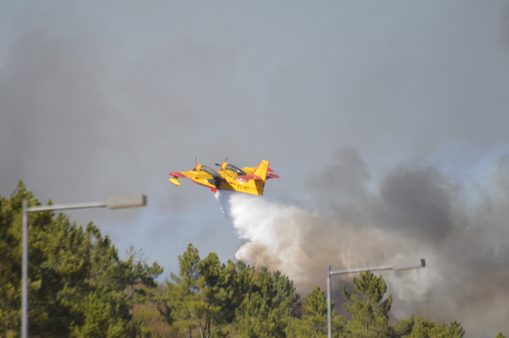 Sul Informação - Incêndio: «A noite não será amiga dos bombeiros» por causa do vento
