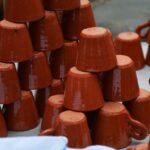 Sul Informação - Um saboroso piquenique à chuva para descobrir a Comida Esquecida