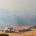 Sul Informação - Incêndio: «A noite não será amiga dos bombeiros» por causa do vento
