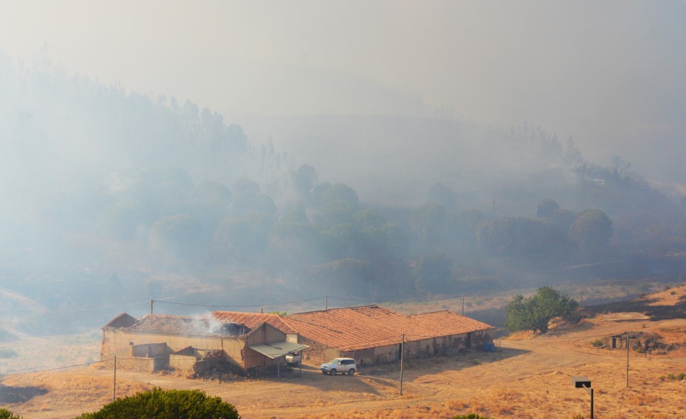 Sul Informação - Incêndio: «A noite não será amiga dos bombeiros» por causa do vento