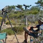 Sul Informação - Festival de Observação de Aves prepara-se para fim de semana em grande em Sagres