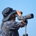 Sul Informação - Festival de Observação de Aves prepara-se para fim de semana em grande em Sagres