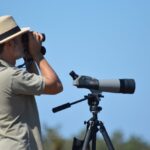Sul Informação - Festival de Observação de Aves prepara-se para fim de semana em grande em Sagres