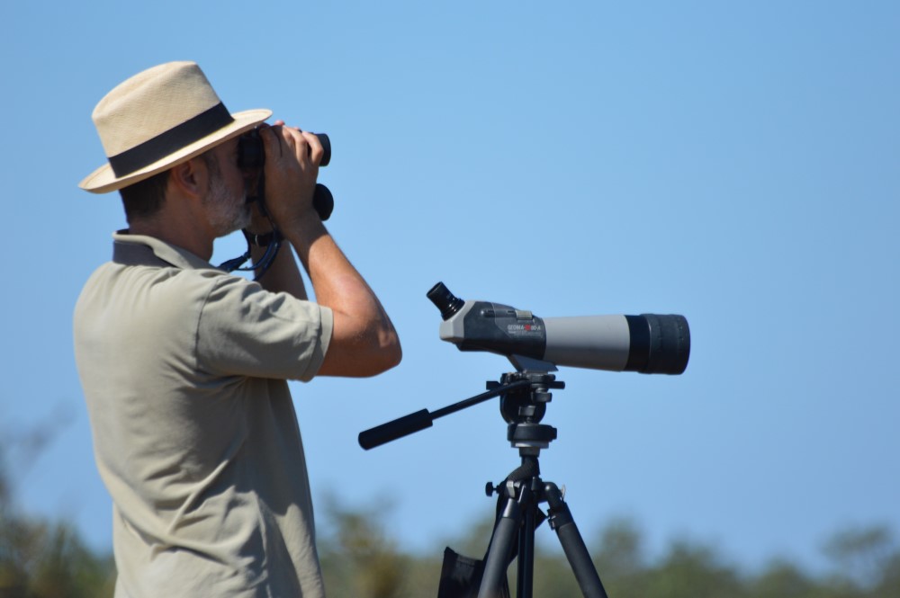 Sul Informação - Festival de Observação de Aves prepara-se para fim de semana em grande em Sagres