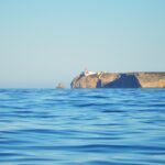 Sul Informação - Festival de Observação de Aves prepara-se para fim de semana em grande em Sagres
