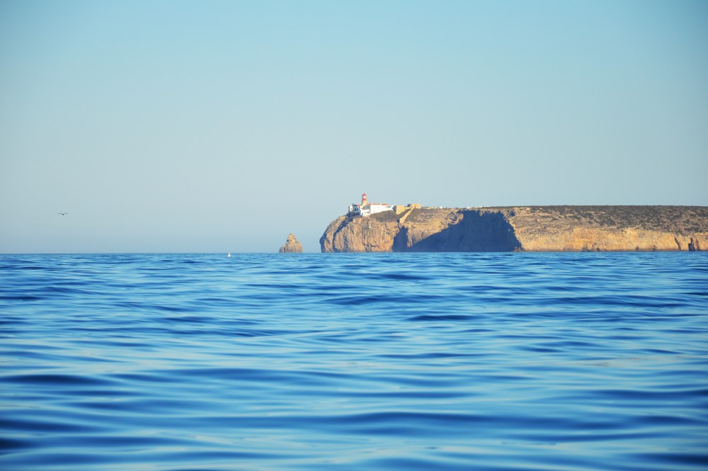 Sul Informação - Festival de Observação de Aves prepara-se para fim de semana em grande em Sagres