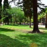Sul Informação - Já é possível «criar mais memórias» no Jardim da Alameda de Faro