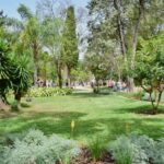 Sul Informação - Já é possível «criar mais memórias» no Jardim da Alameda de Faro