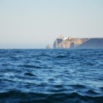 Sul Informação - Festival de Observação de Aves prepara-se para fim de semana em grande em Sagres