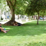 Sul Informação - Já é possível «criar mais memórias» no Jardim da Alameda de Faro