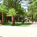 Sul Informação - Já é possível «criar mais memórias» no Jardim da Alameda de Faro