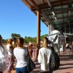 Sul Informação - Visita de jornalistas e agentes de viagens prova que mesmo Albufeira tem segredos escondidos