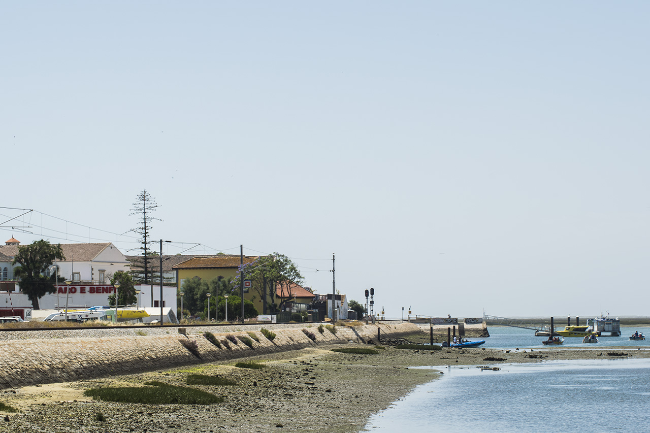 Sul Informação - Voluntários limpam frente ribeirinha de Faro