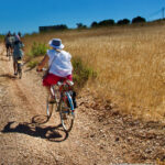 Sul Informação - Passeio de Bicicletas Antigas voltou às ruas de Budens [com fotos]