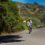 Sul Informação - Passeio de Bicicletas Antigas voltou às ruas de Budens [com fotos]