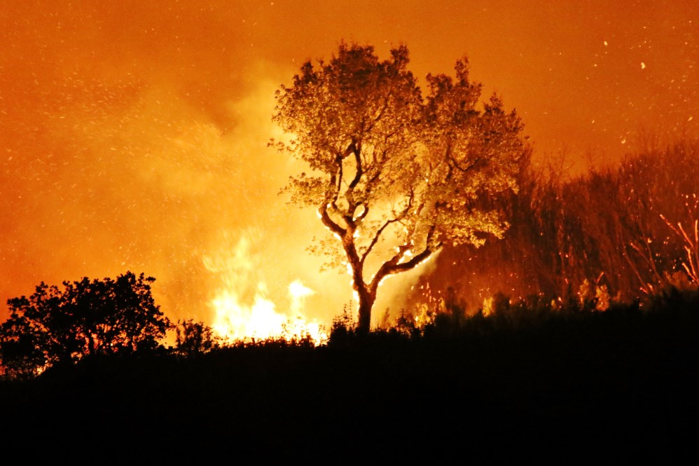 Sul Informação - Há mais bombeiros e sete meios aéreos a combater o incêndio de Monchique (com fotos)
