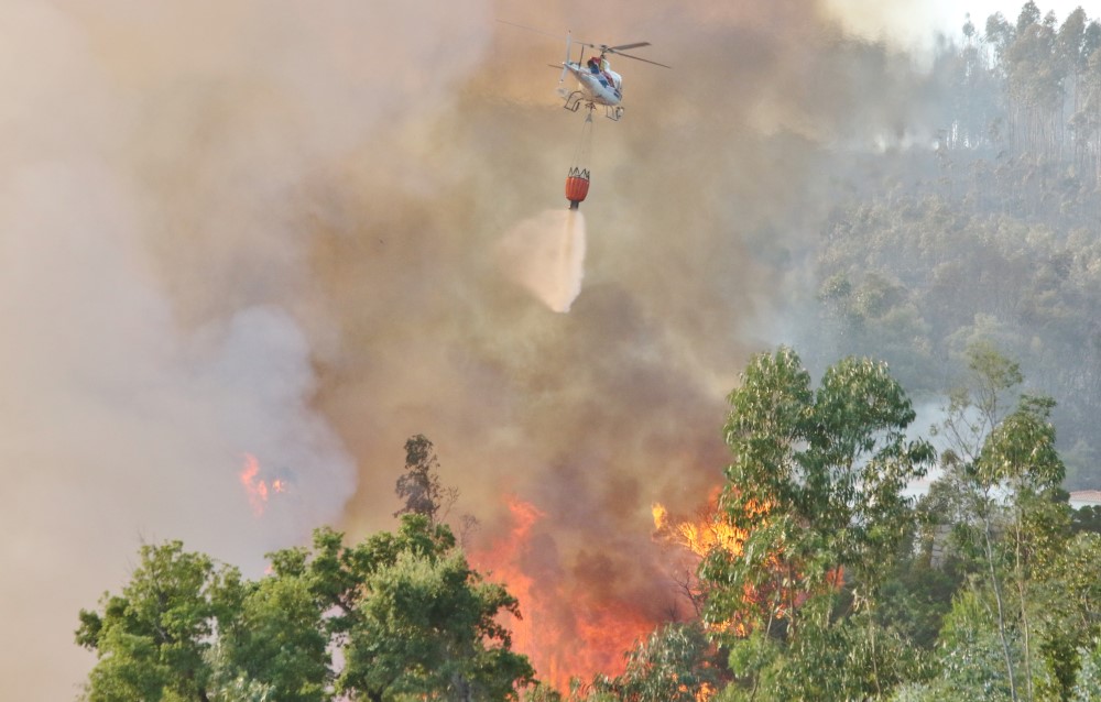 Sul Informação - «Próximas horas vão ser fundamentais» para controlar de vez incêndio de Monchique (com fotos)