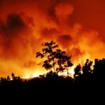 Sul Informação - Pessoas retiradas de casa por precaução no incêndio de Monchique (com fotos)