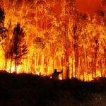 Sul Informação - Pessoas retiradas de casa por precaução no incêndio de Monchique (com fotos)