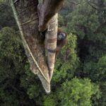 Sul Informação - “De Polo a Polo” expõe em Portimão viagens fotográficas da National Geographic