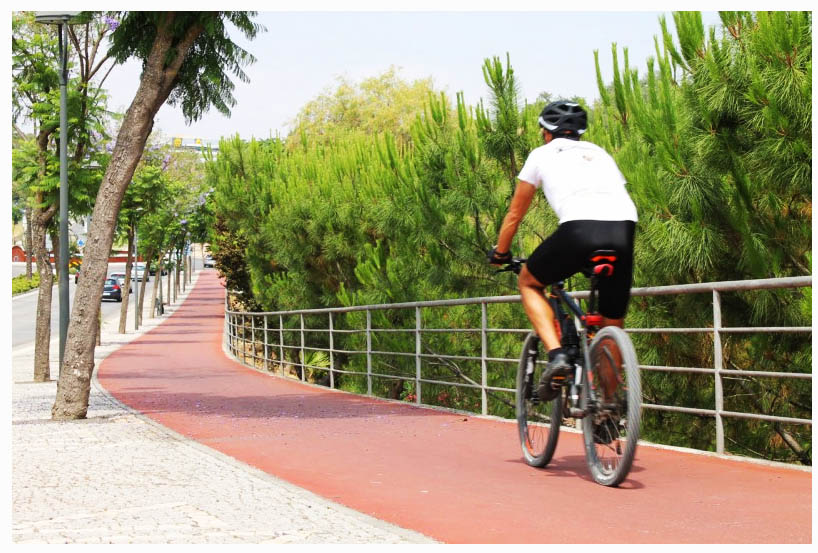 Sul Informação - Equipa Algarve quer pedalar rumo à vitória no European Cycling Challenge