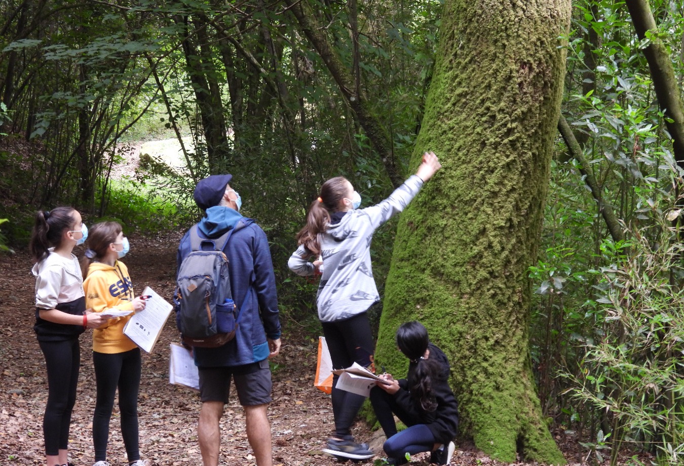Sul Informação - Alunos de Loulé andaram a «descobrir a natureza» com a LPN