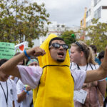 Sul Informação - Desfile Académico teve festa, mas também mensagens sérias [fotogaleria]