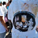 Sul Informação - Caloiros voltaram a desfilar por Faro em clima de festa [fotogaleria]