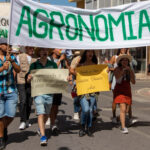 Sul Informação - “Estudar onde não consigo viver”: Falta de habitação marca Desfile do Caloiro