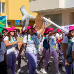 Sul Informação - “Estudar onde não consigo viver”: Falta de habitação marca Desfile do Caloiro