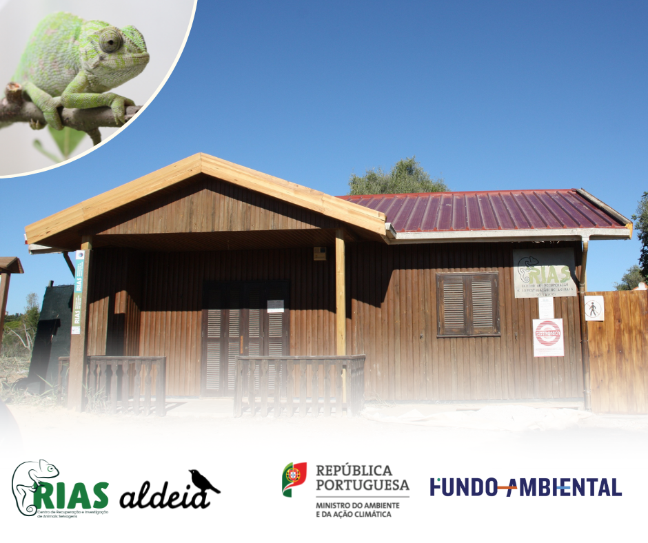 Sul Informação - RIAS consegue mais um financiamento do Fundo Ambiental