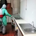 Sul Informação - Escola Pinheiro e Rosa foi desinfetada e «situação não inspira grande preocupação»