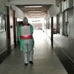 Sul Informação - Escola Pinheiro e Rosa foi desinfetada e «situação não inspira grande preocupação»