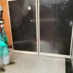 Sul Informação - Escola Pinheiro e Rosa foi desinfetada e «situação não inspira grande preocupação»