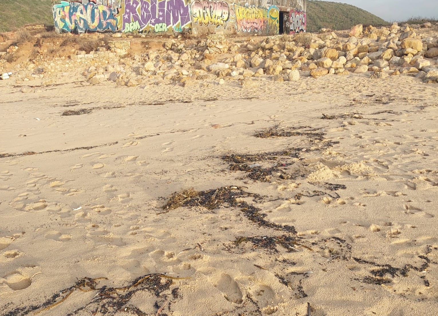 Sul Informação - Foco de poluição de origem desconhecida detetado em praia de Vila do Bispo