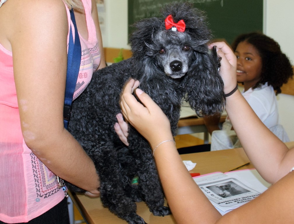 Sul Informação - Fifi deu a cara e sensibilizou alunos do Agrupamento João da Rosa para o abandono animal