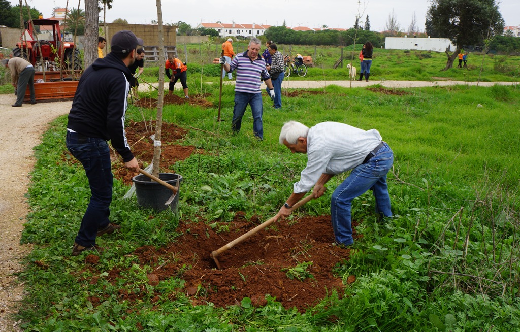 Sul Informação - Plantação de 100 árvores assinalou Dia da Floresta Autóctone em Altura