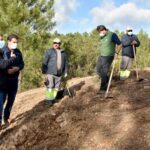 Sul Informação - Loulé adere a projeto que quer plantar uma árvore por cada cidadão europeu