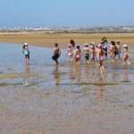 Sul Informação - Dia de Aulas ao Ar Livre junta crianças e jovens do Agrupamento António Aleixo na Ria de Alvor