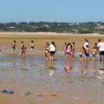 Sul Informação - Dia de Aulas ao Ar Livre junta crianças e jovens do Agrupamento António Aleixo na Ria de Alvor