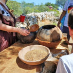 Sul Informação - 1750 pessoas “viajaram” até à Pré-História em Alcalar