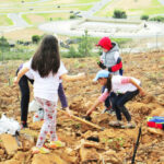 Sul Informação - Gerações uniram-se para plantar árvores onde o fogo as destruiu junto ao Autódromo de Portimão