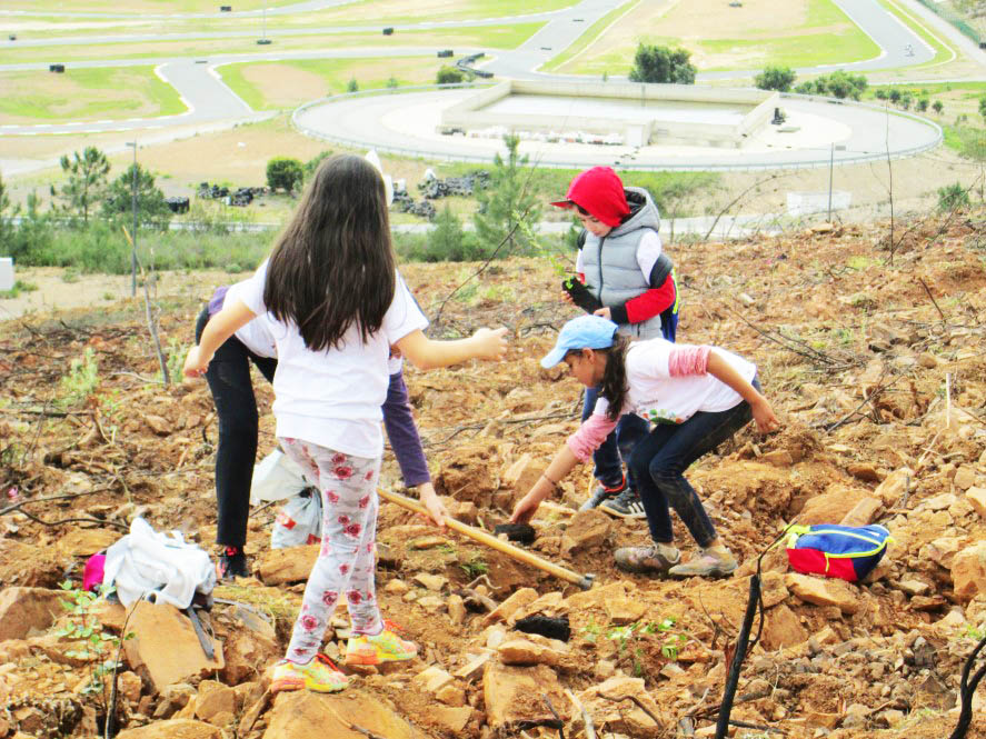 Sul Informação - Gerações uniram-se para plantar árvores onde o fogo as destruiu junto ao Autódromo de Portimão
