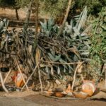 Sul Informação - Fotogaleria: Em Castro Marim, os dias são medievais até este domingo