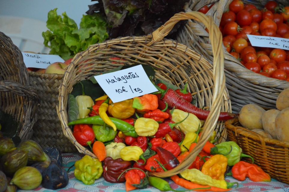 Sul Informação - Tavira leva Dieta Mediterrânica à BTL